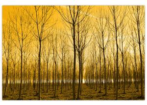 Slika - Plantaža drveća (90x60 cm)