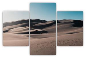 Slika - Iz pustinje (90x60 cm)