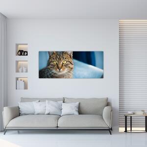 Slika - Domaća mačka (120x50 cm)