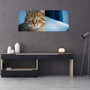 Slika - Domaća mačka (120x50 cm)