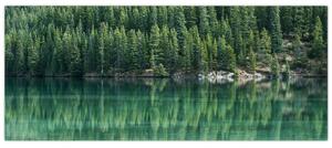 Slika - Četinari uz jezero (120x50 cm)