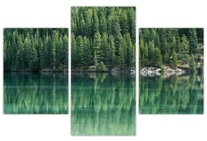 Slika - Četinari uz jezero (90x60 cm)