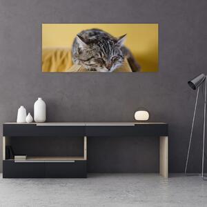 Slika mačke na kauču (120x50 cm)