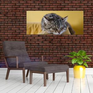 Slika mačke na kauču (120x50 cm)