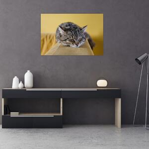 Slika mačke na kauču (90x60 cm)