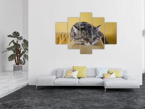 Slika mačke na kauču (150x105 cm)