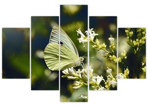 Slika leptira (150x105 cm)