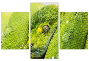 Slika zmije (90x60 cm)