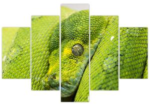 Slika zmije (150x105 cm)