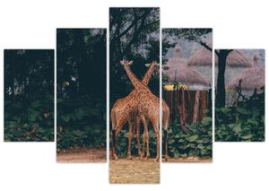 Slika dviju žirafa (150x105 cm)