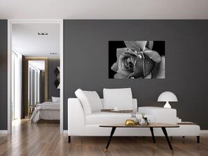 Slika ruže - crno-bijela (90x60 cm)