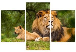 Slika lavova (90x60 cm)