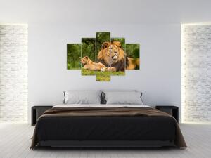 Slika lavova (150x105 cm)