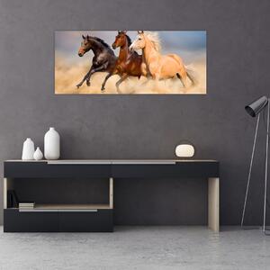 Slika - Divlji konji (120x50 cm)
