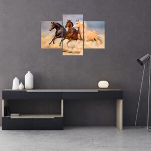 Slika - Divlji konji (90x60 cm)