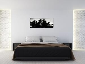 Crno-bijela slika - palme (120x50 cm)
