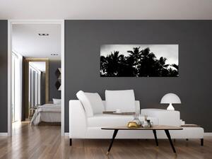 Crno-bijela slika - palme (120x50 cm)