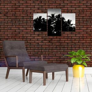 Crno-bijela slika - palme (90x60 cm)