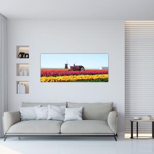 Slika farme tulipana (120x50 cm)