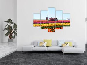 Slika farme tulipana (150x105 cm)