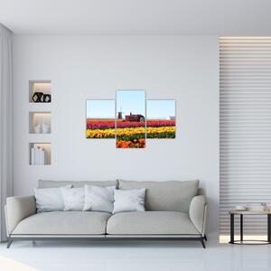 Slika farme tulipana (90x60 cm)