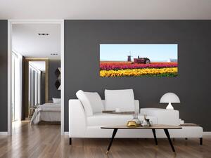 Slika farme tulipana (120x50 cm)