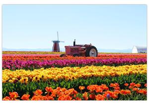 Slika farme tulipana (90x60 cm)