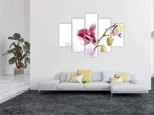 Slika cvijeta orhideje (150x105 cm)