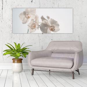Slika bijele orhideje (120x50 cm)