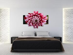 Slika ružičaste dalije (150x105 cm)