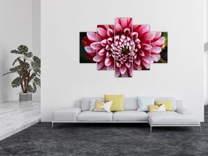 Slika ružičaste dalije (150x105 cm)