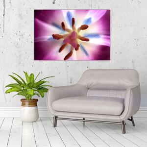 Slika - Cvijet tulipana u detalju (90x60 cm)