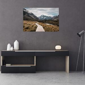 Slika - Šetnica u dolini planine Mt. Cook (90x60 cm)