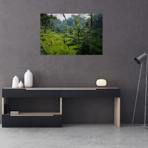 Slika rižinih terasa Tegalalang, Bali (90x60 cm)