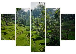 Slika rižinih terasa Tegalalang, Bali (150x105 cm)