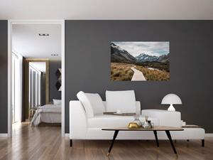 Slika - Šetnica u dolini planine Mt. Cook (90x60 cm)