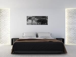 Slika slonova - crno-bijela (120x50 cm)