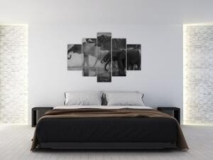Slika slonova - crno-bijela (150x105 cm)