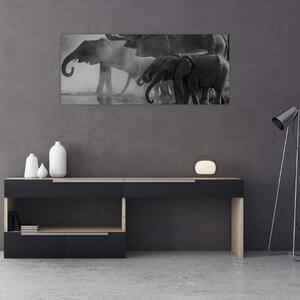 Slika slonova - crno-bijela (120x50 cm)