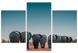 Slika - Odlazak slonova (90x60 cm)