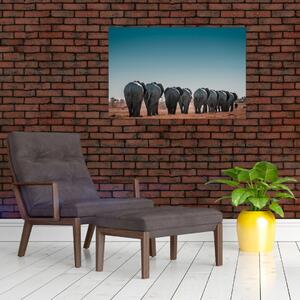 Slika - Odlazak slonova (90x60 cm)