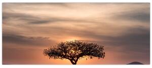 Slika zalaska sunca u Tanzaniji (120x50 cm)