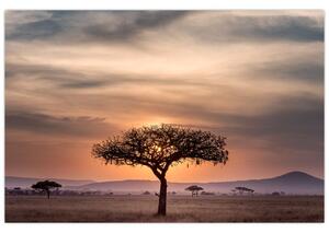 Slika zalaska sunca u Tanzaniji (90x60 cm)