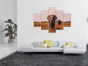 Slika - Dolazak slona (150x105 cm)