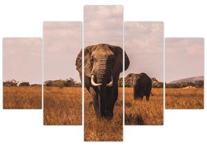 Slika - Dolazak slona (150x105 cm)
