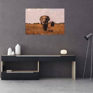 Slika - Dolazak slona (90x60 cm)