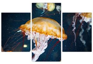 Slika meduze (90x60 cm)