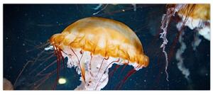 Slika meduze (120x50 cm)