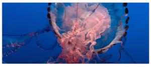 Slika meduze (120x50 cm)