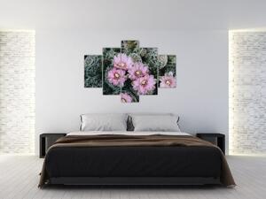 Slika cvijeta kaktusa (150x105 cm)